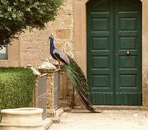 https://agriturismo-savoca-piazza-armerina.sicilyhotelsitaly.net